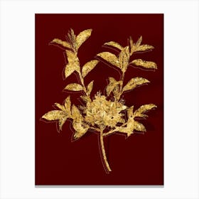 Vintage Azalea Botanical in Gold on Red n.0277 Canvas Print