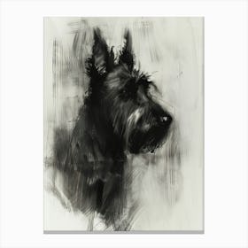 Berger Picard Dog Charcoal Line 1 Canvas Print