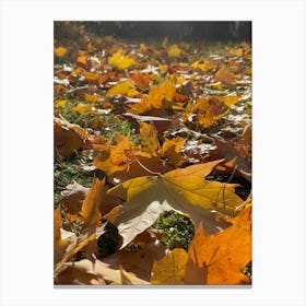 Autumn Leaves On The Ground 2 Canvas Print