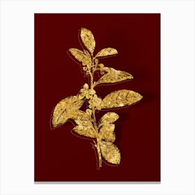 Vintage Tea Tree Botanical in Gold on Red n.0291 Canvas Print