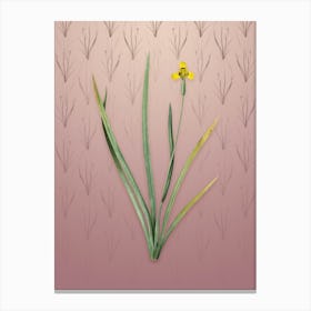 Vintage Iris Martinicensis Botanical on Dusty Pink Pattern n.2282 Canvas Print