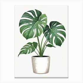 Monstera Obliqua Plant Living Room Art Print (5) Canvas Print