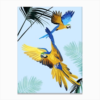 Flying Parrots Canvas Print