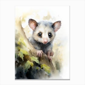Light Watercolor Painting Of A Curious Possum 4 Canvas Print