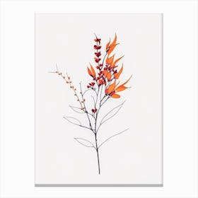 Firethorn Floral Minimal Line Drawing 1 Flower Canvas Print