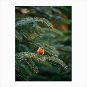 Robin In The Trees Canvas Print