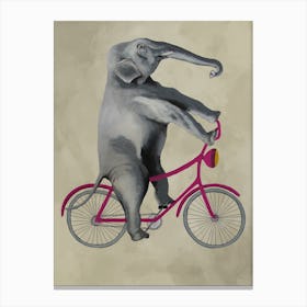 Elephant On Bicycle Canvas Print
