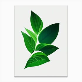 Stevia Leaf Vibrant Inspired 1 Canvas Print