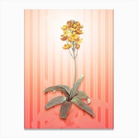Sun Star Vintage Botanical in Peach Fuzz Awning Stripes Pattern n.0094 Canvas Print
