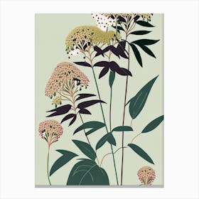 Joe Pye Weed Wildflower Modern Muted Colours 2 Canvas Print