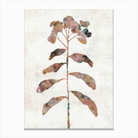 Hibiscus plant Canvas Print