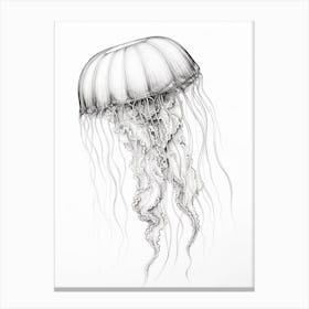 Sea Nettle Jellyfish Cartoon 4 Canvas Print