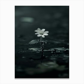 White Flora 3 Canvas Print