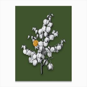 Vintage Aloe Yucca Black and White Gold Leaf Floral Art on Olive Green n.0575 Canvas Print