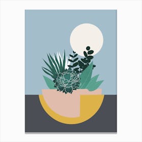Colourful Succulent Planter Canvas Print