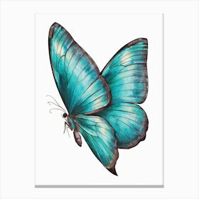 Blue Butterfly Canvas Print