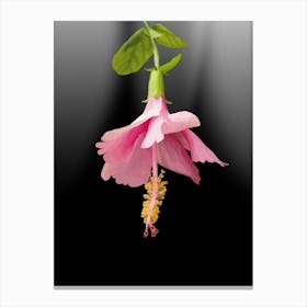 colord Hibiscus Flower Canvas Print