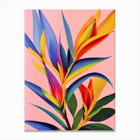 Bird Of Paradise Colourful Illustration Plant Canvas Print