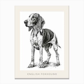 English Foxhound Dog Line Sketch 3 Poster Canvas Print