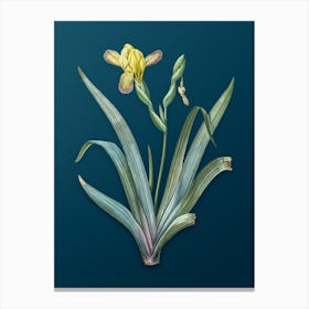Vintage Hungarian Iris Botanical Art on Teal Blue n.0875 Canvas Print