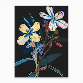 Neon Flowers On Black Forget Me Not 4 Canvas Print