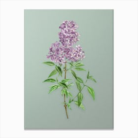 Vintage Persian Lilac Botanical Art on Mint Green n.0088 Canvas Print