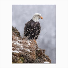 Snowy Winter Bald Eagle Canvas Print