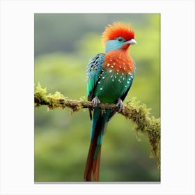 Feathers of the Forest: Quetzal Jungle Bird Print Canvas Print