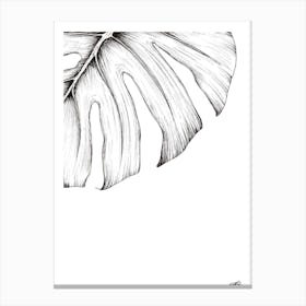 Black and White Monsteria Leaf Centre Canvas Print