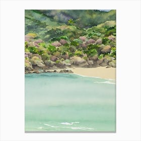 Tayrona National Park Colombia Water Colour Poster Canvas Print