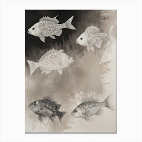 Four Fish Canvas Print