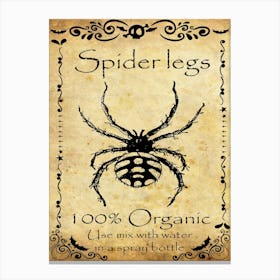 Spider Legs Canvas Print