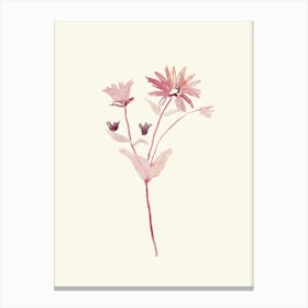 Wildflower Canvas Print