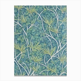 Umbrella Pine tree Vintage Botanical Canvas Print