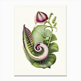 Banded Snail  1 Botanical Canvas Print