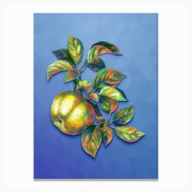 Vintage Apple Botanical Art on Blue Perennial n.0002 Canvas Print