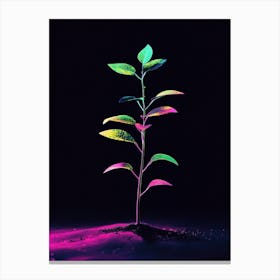 Neon Plant 18 Canvas Print