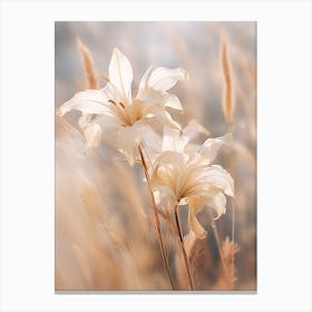 Boho Dried Flowers Lily 2 Canvas Print