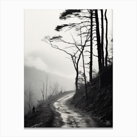 Great Smoky, Black And White Analogue Photograph 4 Canvas Print