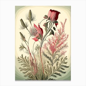 Prairie Smoke Wildflower Vintage Botanical 1 Canvas Print