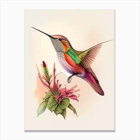 Allen S Hummingbird Retro Drawing Canvas Print