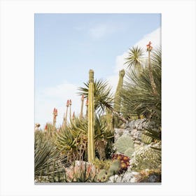 Tropical Cactus Plants Canvas Print