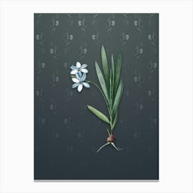 Vintage Gladiolus Plicatus Botanical on Slate Gray Pattern n.0465 Canvas Print