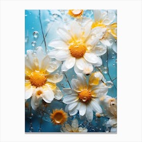 Daisies In Water 1 Canvas Print