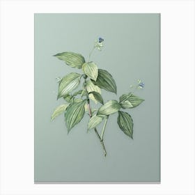 Vintage Tradescantia Erecta Botanical Art on Mint Green n.0992 Canvas Print