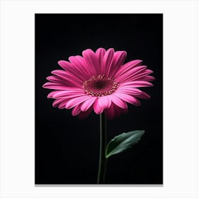 Pink Gerbera Flower 2 Canvas Print