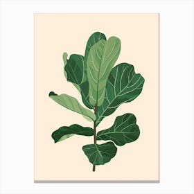 Fiddle Leaf Fig Plant Minimalist Illustration 6 Canvas Print