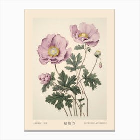 Hanaichige Japanese Anemone 2 Vintage Japanese Botanical Poster Canvas Print