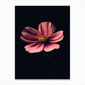 Pink Flower On Black Background 14 Canvas Print