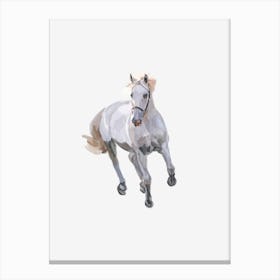 Horse2 Canvas Print